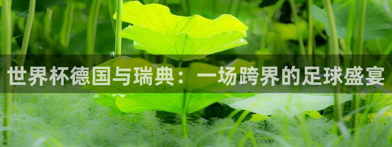 世界杯：世界杯德国与瑞典：一场跨界的足球盛宴