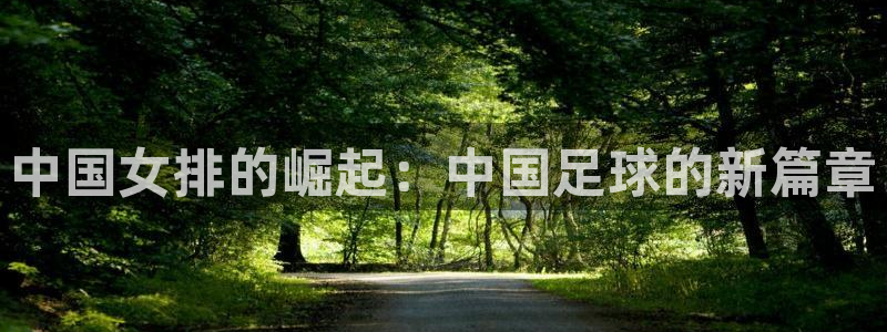 世界杯直播观看：中国女排的崛起：中国足球的新篇章