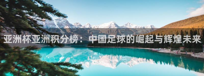 2026世界杯直播免费观看：亚洲杯亚洲积分榜：中国足球的崛起与辉煌未来