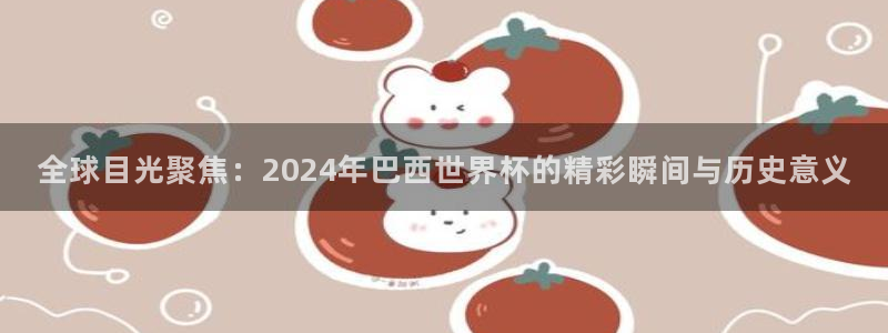 世界杯视频：全球目光聚焦：2024年巴西世界杯的精彩瞬间与历史意义