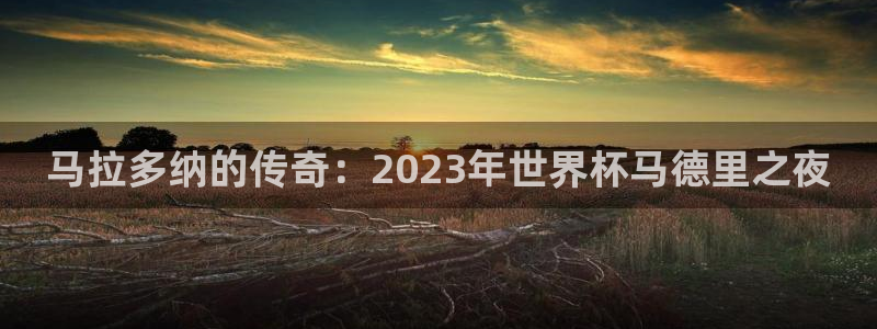 今天所有足球赛程表：马拉多纳的传奇：2023年世界杯马德里之夜
