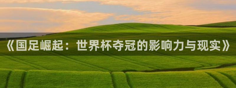 世界杯在线直播：《国足崛起：世界杯夺冠的影响力与现实》