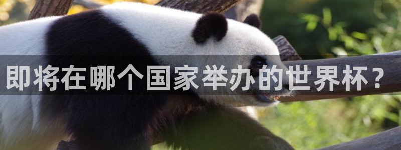 2026年足球世界杯赛程时间表：即将在哪个国家举办的世界杯？