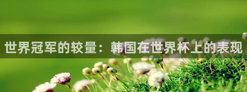 世界杯欧洲预选赛：世界冠军的较量：韩国在世界杯上的表现