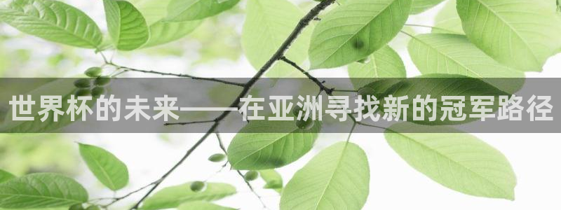 欧联杯直播：世界杯的未来——在亚洲寻找新的冠军路径