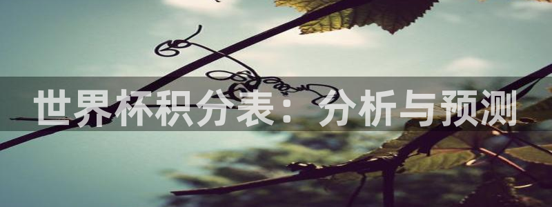 2026世界杯南美区积分榜：世界杯积分表：分析与预测