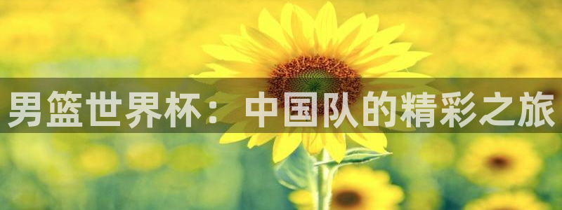 世界杯赛程2026：男篮世界杯：中国队的精彩之旅
